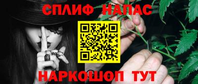 PSILOCYBIN Заводоуковск