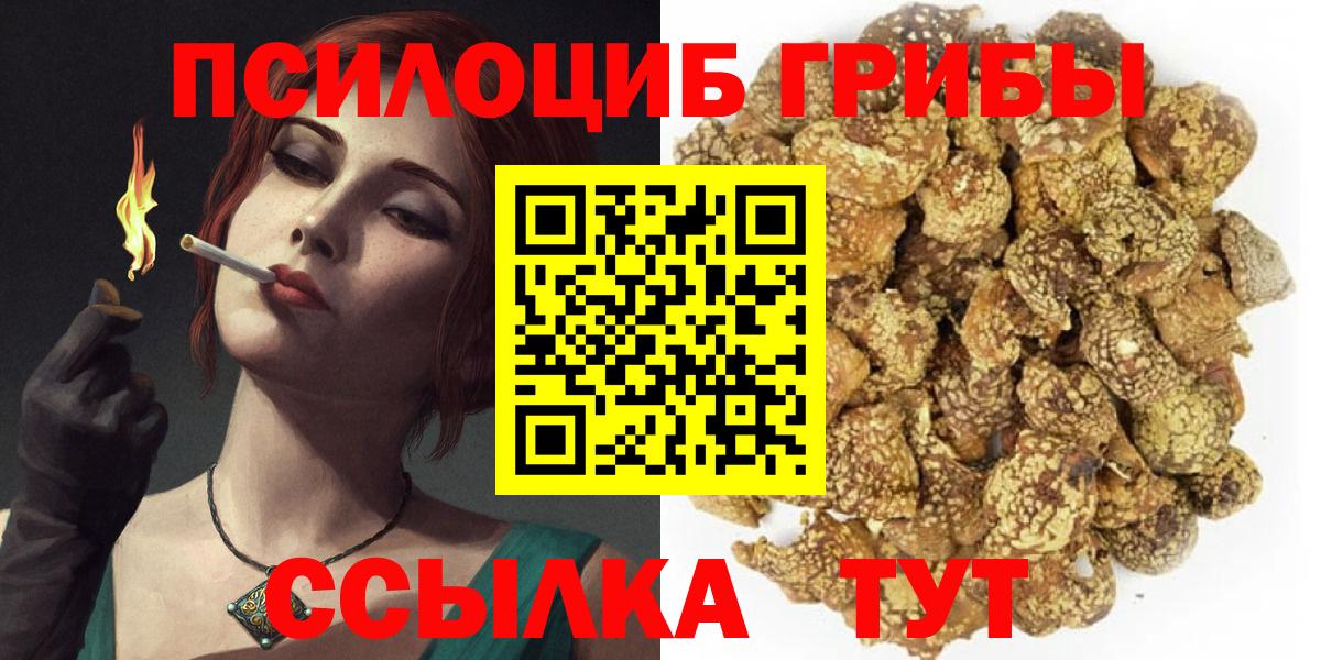 Курчатов  Галлюциногенные грибы GOLDEN TEACHER  Вход с VPN  Псилоцибиновые грибы Psilocybine cubensis 